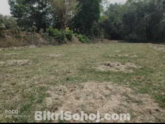 Land/জমি